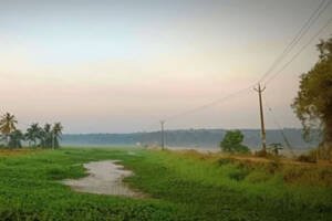 Vellayani Trivandrum